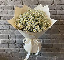 Букет цветов из:  Ромашки #REPLACE_PRED# Пионерский